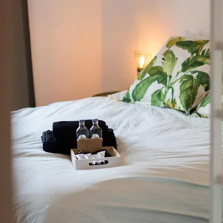 Stylish Flat, Steps To Ostend
