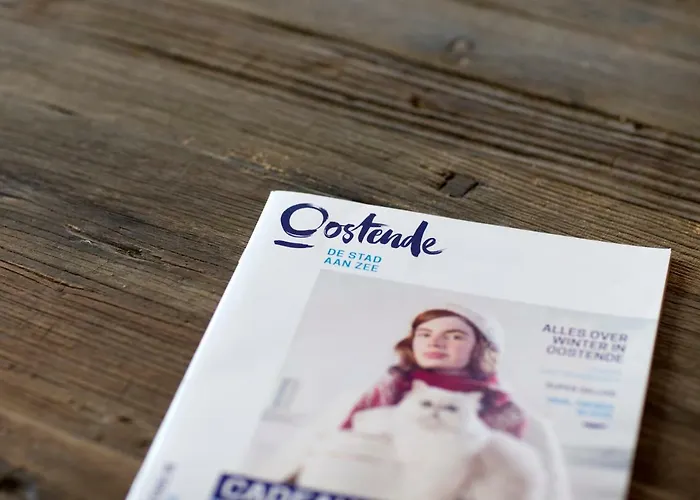 Stylish Central Flat, Steps To Beach אוסטנדה